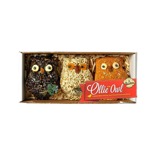 Ollie the Owl Ornament - 3 Pack