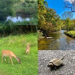 Boone Greenway