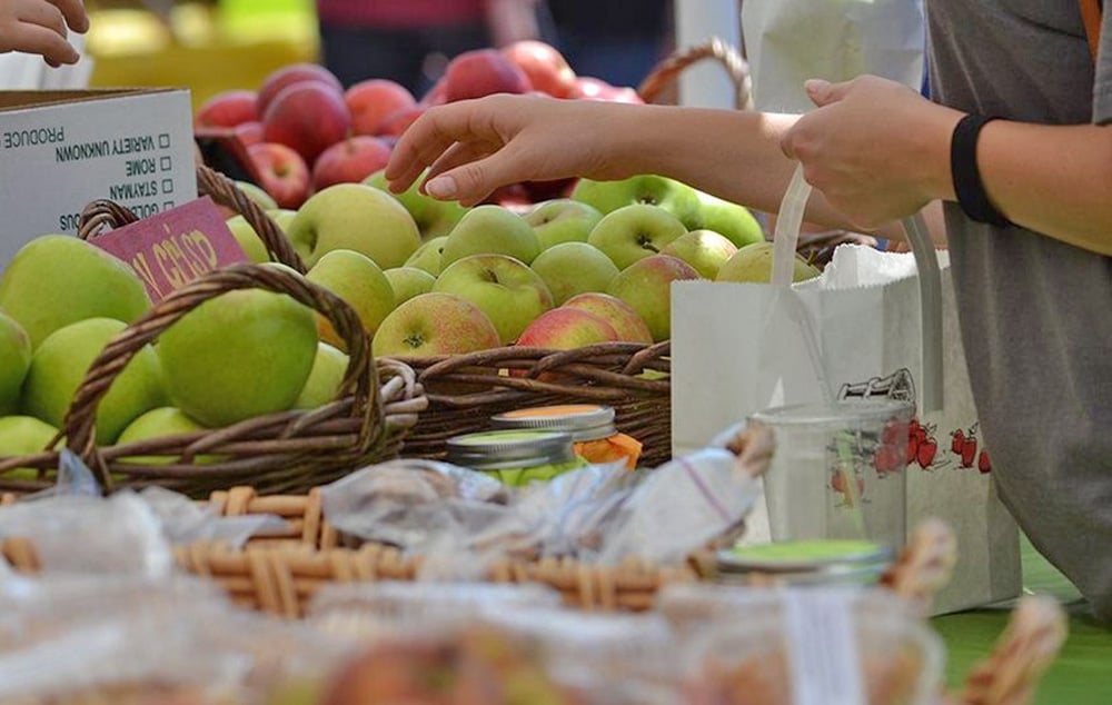 Purchasing apples at the NC Apple Festivals