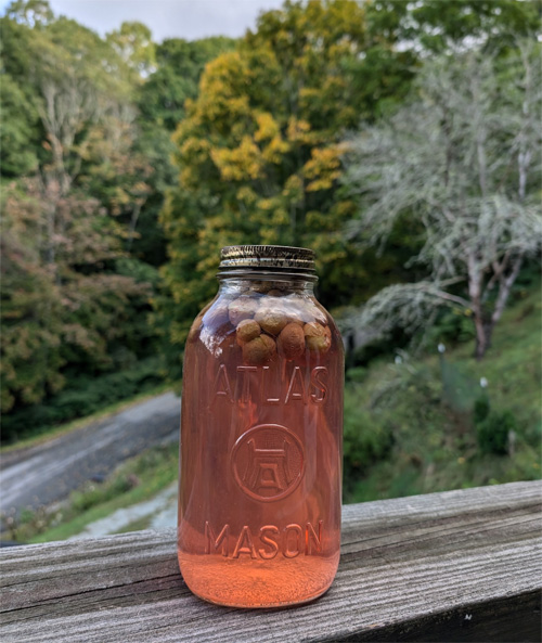 Home-canned Grape Juice