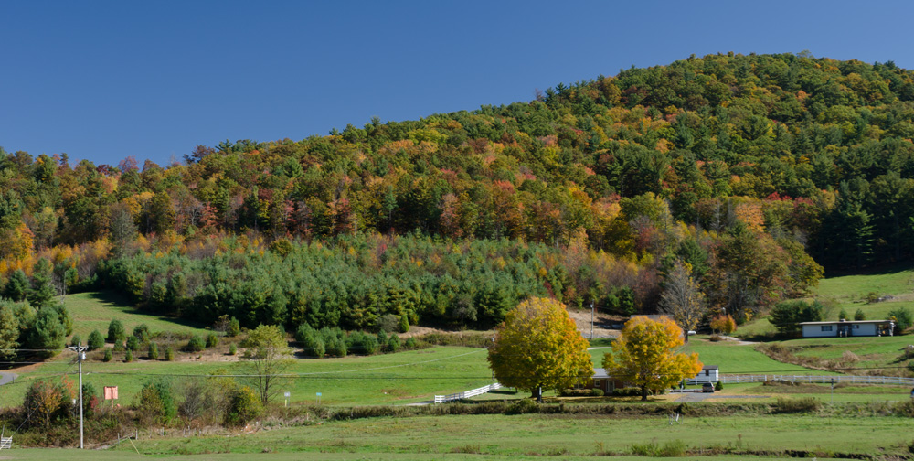 Colors along Highway 221 in Deep Gap, NC