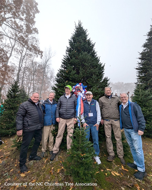 The 2024 Christmas tree for the Blue Room at the White House came from Cartner Farms in Newland, NC