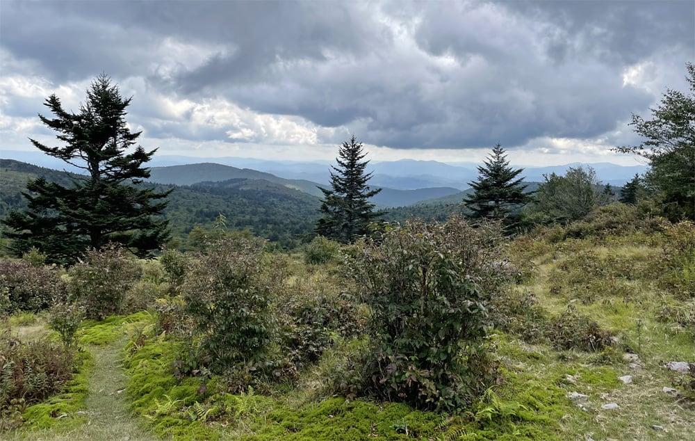 First Day Hike - Summit of Elk Knob