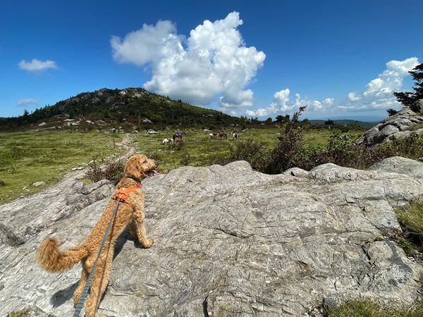 Grayson Highlands is a good destination for a first day hike.