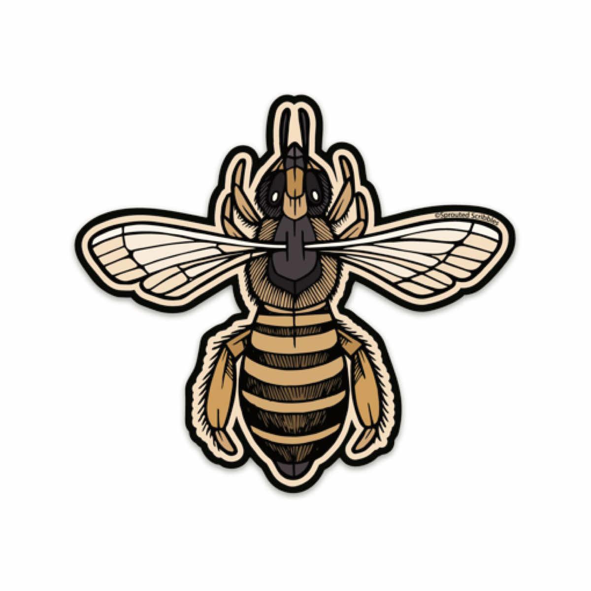 Honey Bee Sticker