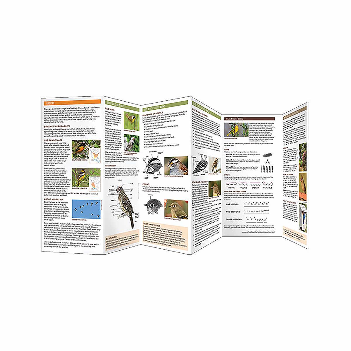 WATERFORD PRESS | Birding 101 Folding Pocket Guide