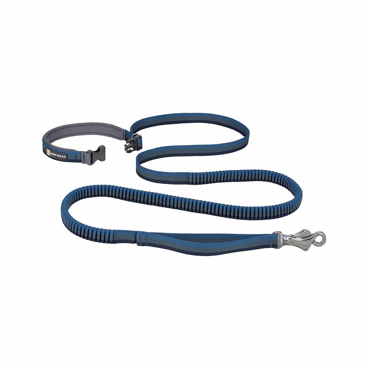 Roamer Bungee Dog Leash